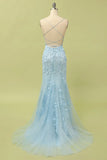 Mermaid Lace Long Prom HZ0307