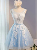 LTP1065,Cute baby blue lace tulle mini homecoming HZ0307
