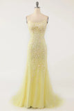 Mermaid Lace Long Prom HZ0307