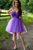 LTP1380,Purple High Low Homecoming HZ0307