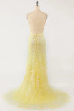 Mermaid Lace Long Prom HZ0307